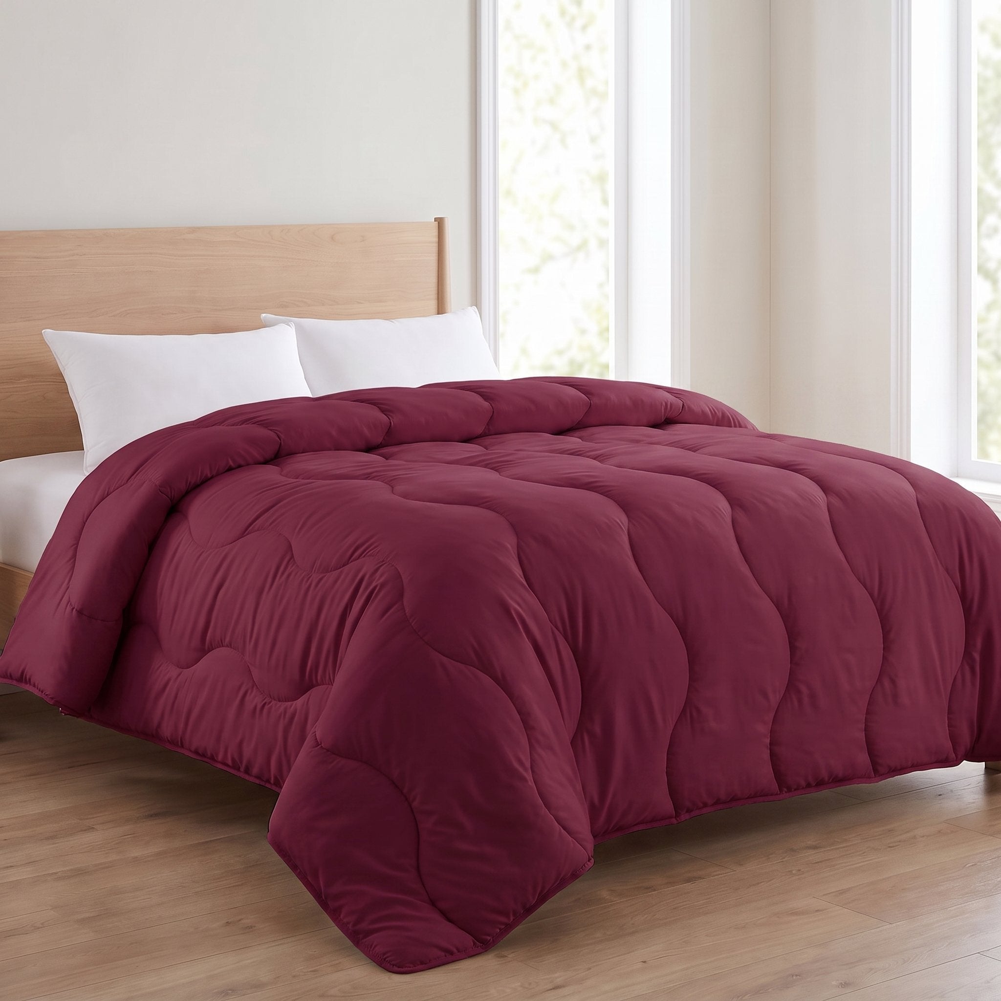 Pack couette unie Kasbah + Oreiller offert