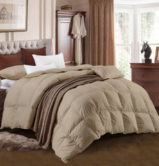 Pack Couette Uni Beige Sable Microgel MALABATA Acheté = 1 Oreiller Kasbah Offre Fin Année
