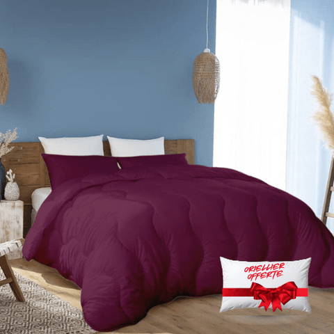 Pack Couette Kasbah Aubergine Microfibre + Taie & 1 Oreiller Kasbah GRATUIT // Anti - Allergique & Chaude C°++ - Couette & Housse de Couette Dwirty Maroc