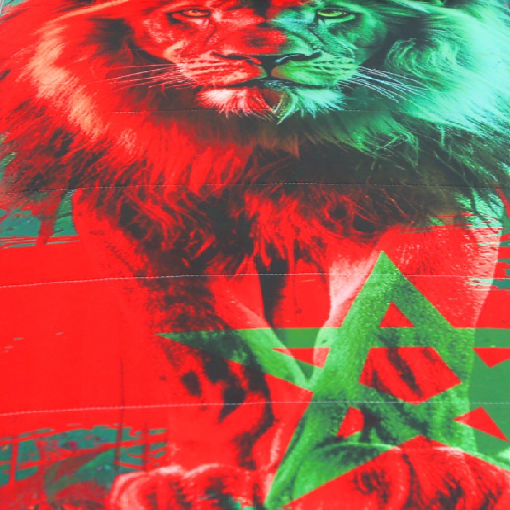 Pack Matelas Camping Pack Matelas Camping Lion d’Atlas : Mtls 1Place (190x90x15cm) + Oreiller + 1TO: Le Compagnon Idéal pour vos Aventures en Plein Air ! - matelas de camping Dwirty Maroc