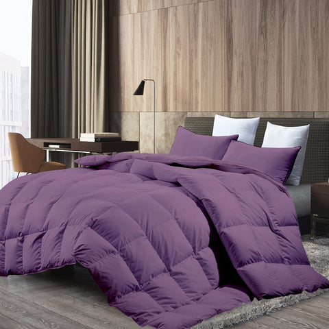 Couette Unie Violet Microgel MALABATA + Taies d'oreiller Offerte  // Chaude C°+++ & Antiallérgique
